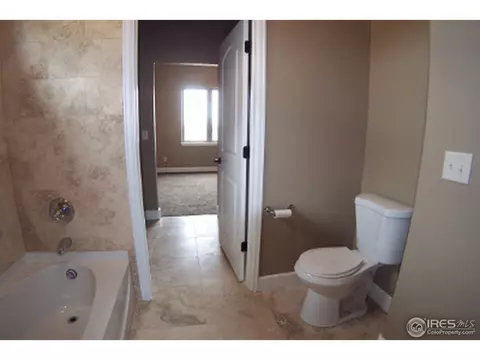 6161 Chesney Ct, Windsor, CO 80550 photo 14