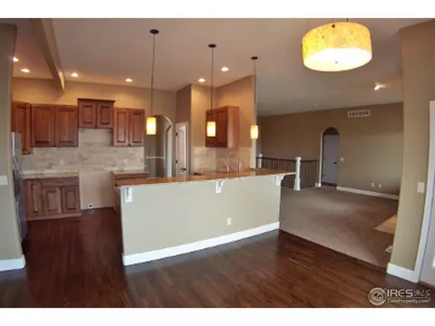 6161 Chesney Ct, Windsor, CO 80550 photo 6