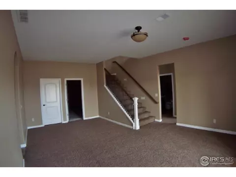6161 Chesney Ct, Windsor, CO 80550 photo 18