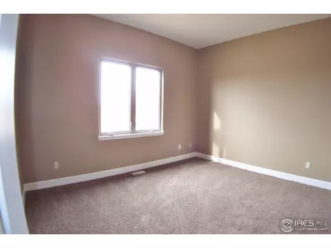6161 Chesney Ct, Windsor, CO 80550 photo 16