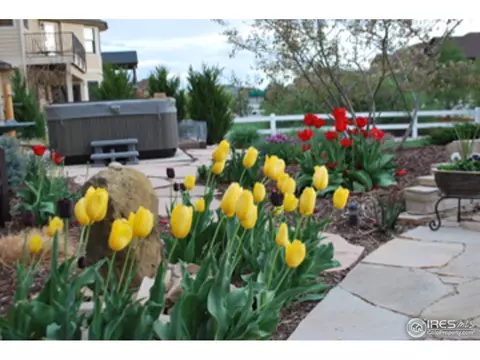8381 Sand Dollar Dr, Windsor, CO 80528 photo 24