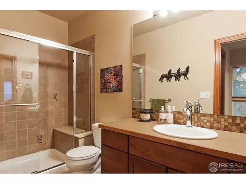 8381 Sand Dollar Dr, Windsor, CO 80528 photo 17