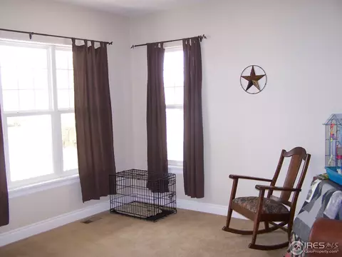 1048 Canal Dr, Windsor, CO 80550 photo 15