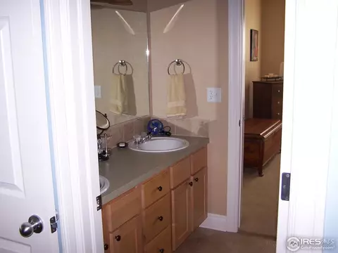 1048 Canal Dr, Windsor, CO 80550 photo 20