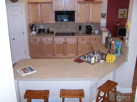 1048 Canal Dr, Windsor, CO 80550 photo 9