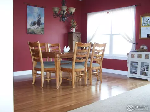 1048 Canal Dr, Windsor, CO 80550 photo 10