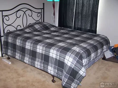 1048 Canal Dr, Windsor, CO 80550 photo 22