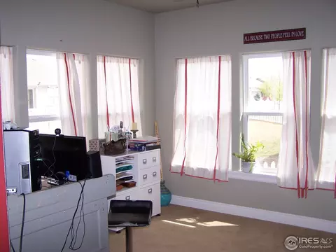 1048 Canal Dr, Windsor, CO 80550 photo 13