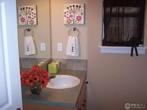 1048 Canal Dr, Windsor, CO 80550 photo 14