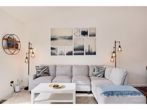 305 Virginia Rd #C, Bailey, CO 80421 photo 4