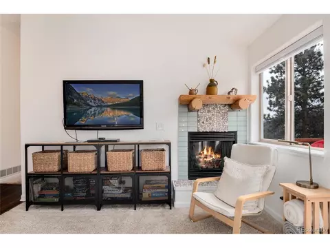 305 Virginia Rd #C, Bailey, CO 80421 photo 5