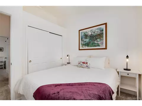 305 Virginia Rd #C, Bailey, CO 80421 photo 19
