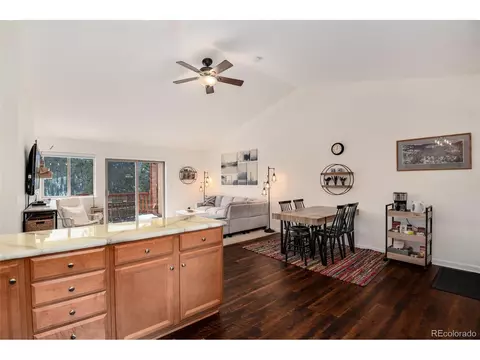 305 Virginia Rd #C, Bailey, CO 80421 photo 11