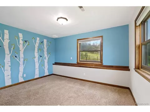 35 Mockingbird Trl, Bailey, CO 80421 photo 22