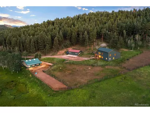 35 Mockingbird Trl, Bailey, CO 80421 photo 7