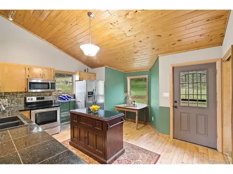 35 Mockingbird Trl, Bailey, CO 80421 photo 14