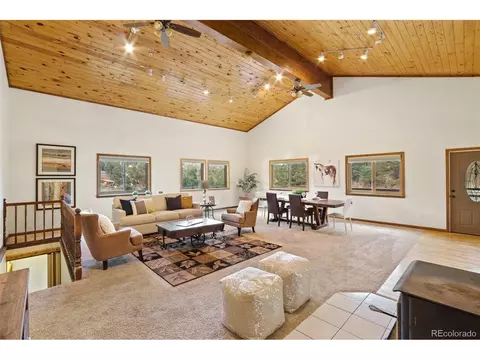 35 Mockingbird Trl, Bailey, CO 80421 photo 11