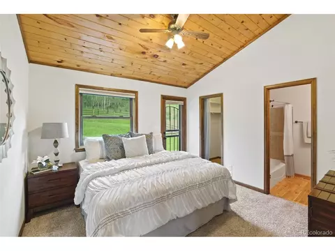 35 Mockingbird Trl, Bailey, CO 80421 photo 17