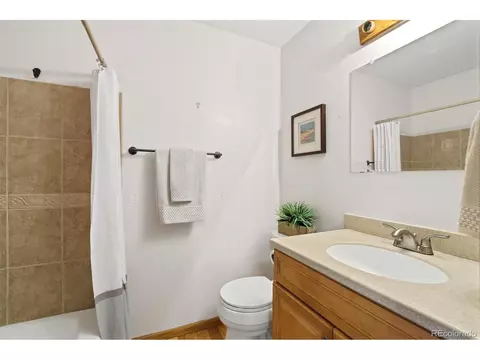 35 Mockingbird Trl, Bailey, CO 80421 photo 19