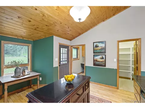 35 Mockingbird Trl, Bailey, CO 80421 photo 16