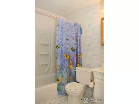 5057 E 118th Pl, Thornton, CO 80233 photo 3