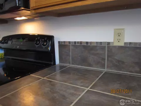 1034 Raindance Cir, Windsor, CO 80550 photo 11