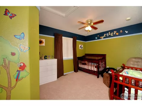 5431 Wolf St, Frederick, CO 80504 photo 19