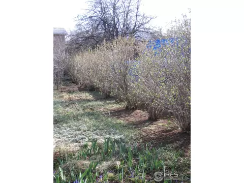 1480 Elder Ave, Boulder, CO 80304 photo 10