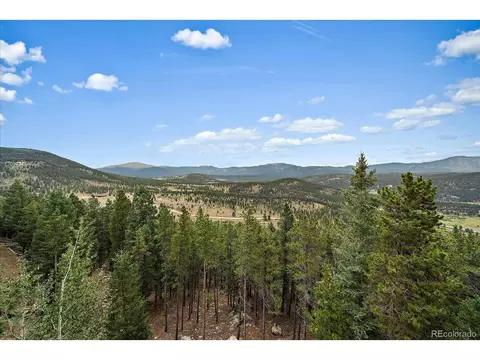 90 Hilltop Dr, Bailey, CO 80421 photo 26