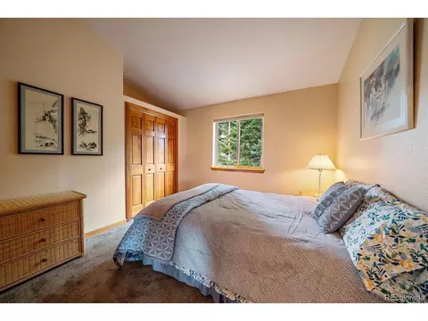 90 Hilltop Dr, Bailey, CO 80421 photo 17