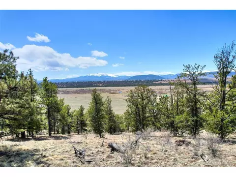 881 Bonell Dr, Fairplay, CO 80440