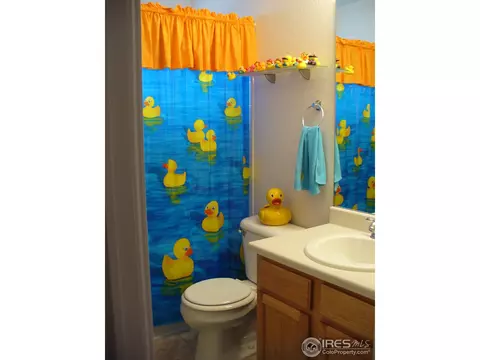 7229 Foothill St, Frederick, CO 80504 photo 13