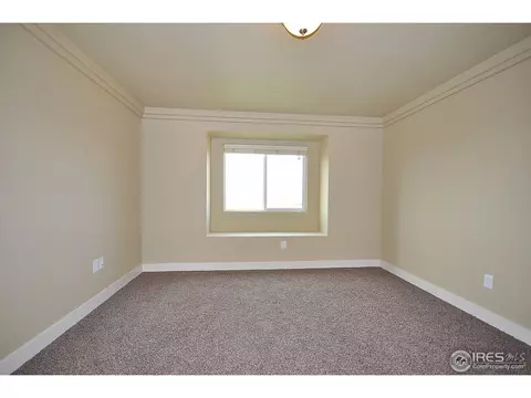 515 Prairie Clover Way, Severance, CO 80550 photo 12