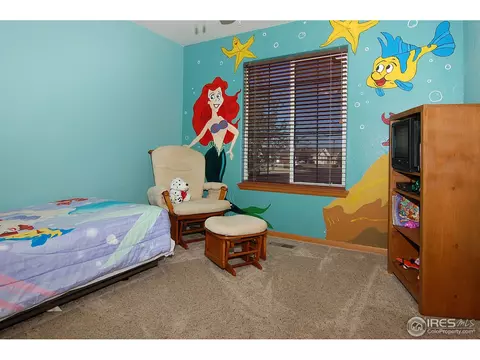 477 5th St, Firestone, CO 80504 photo 12