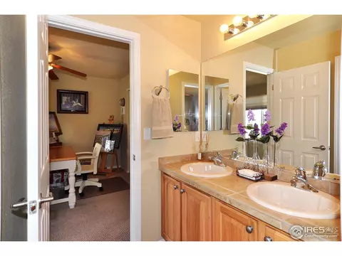 4587 Meadowlark Dr, Windsor, CO 80550 photo 19