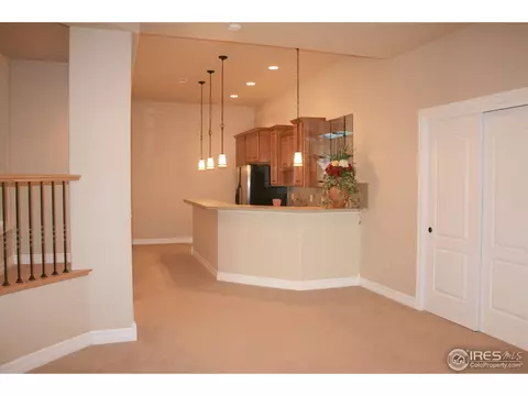 8399 Castaway Dr, Windsor, CO 80528 photo 15