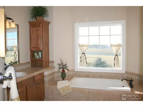 8399 Castaway Dr, Windsor, CO 80528 photo 12