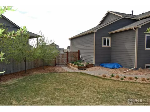 318 Windflower Way, Severance, CO 80550 photo 23
