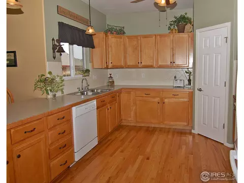 318 Windflower Way, Severance, CO 80550 photo 4