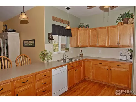 318 Windflower Way, Severance, CO 80550 photo 3