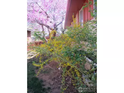 2350 Glenwood Dr, Boulder, CO 80304 photo 25