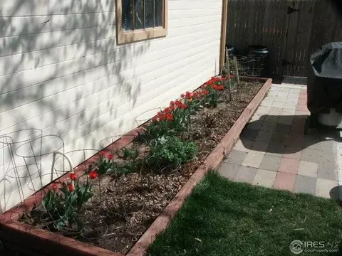 314 Grant Ave, Firestone, CO 80504 photo 12