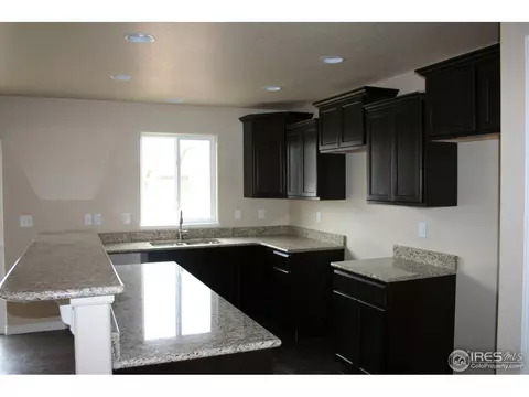 631 Babine Ct, Windsor, CO 80550 photo 2