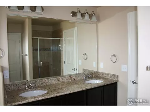 631 Babine Ct, Windsor, CO 80550 photo 6