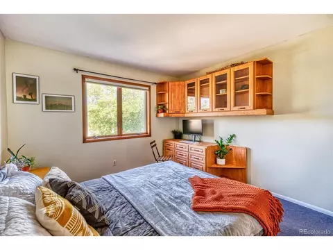 1073 Ute Trl, Como, CO 80432 photo 13