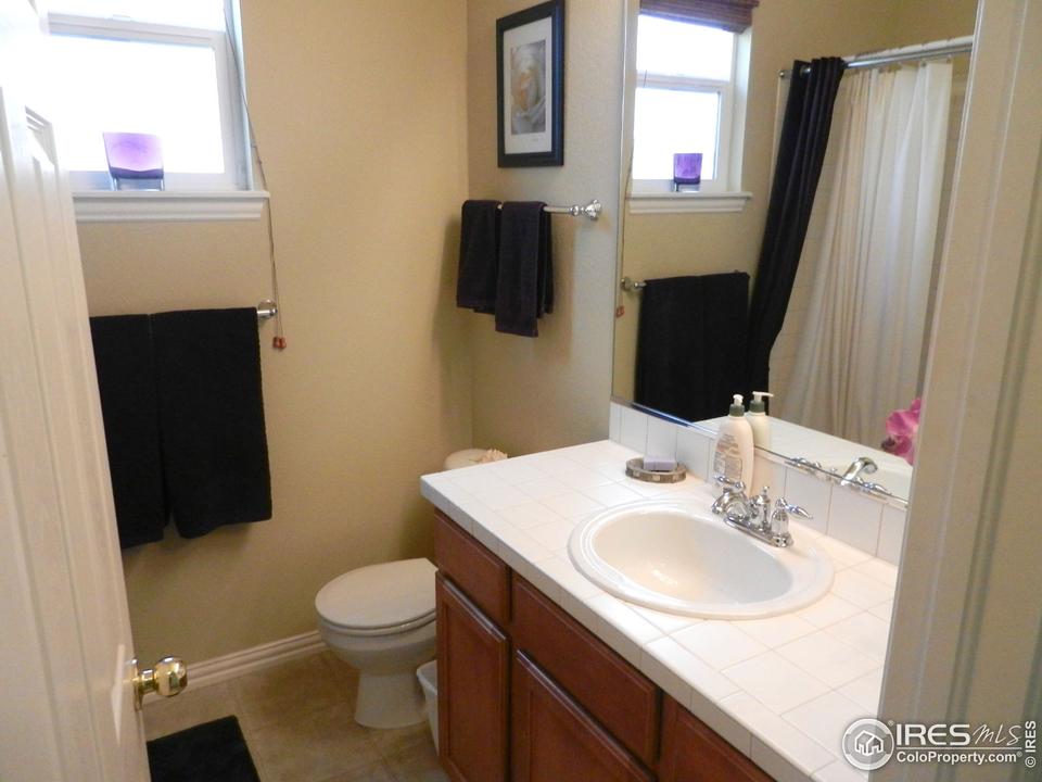  1686 Aylesbury Ct, Windsor, CO 80550 photo 12