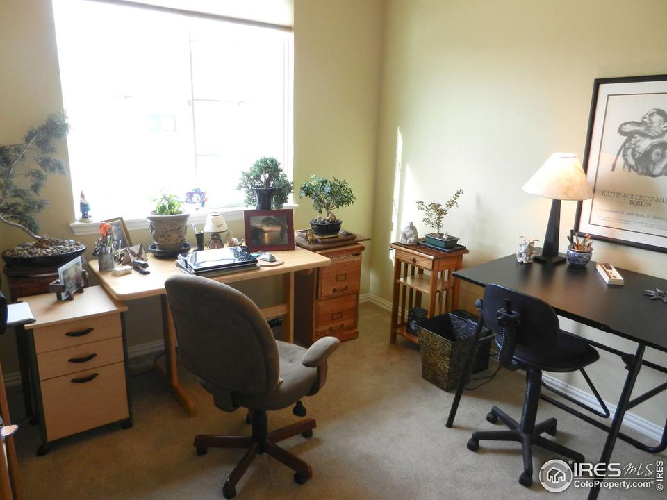  1686 Aylesbury Ct, Windsor, CO 80550 photo 6