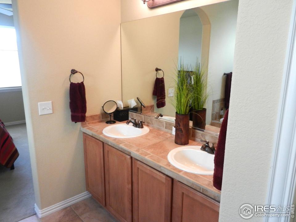  1686 Aylesbury Ct, Windsor, CO 80550 photo 10