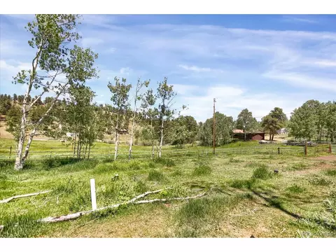 743 S Pine Dr, Bailey, CO 80421 photo 37