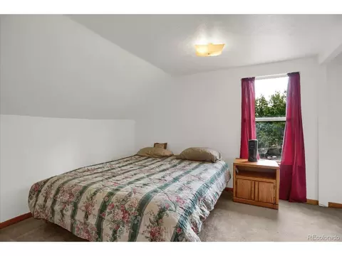 743 S Pine Dr, Bailey, CO 80421 photo 26